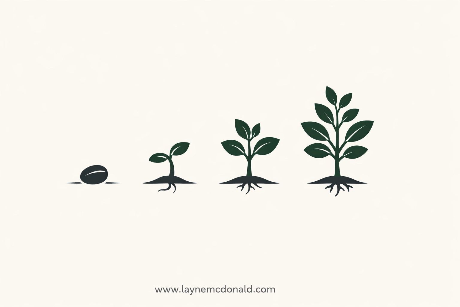 Stages of a plant growing representing continuous growth in a healthy church community.