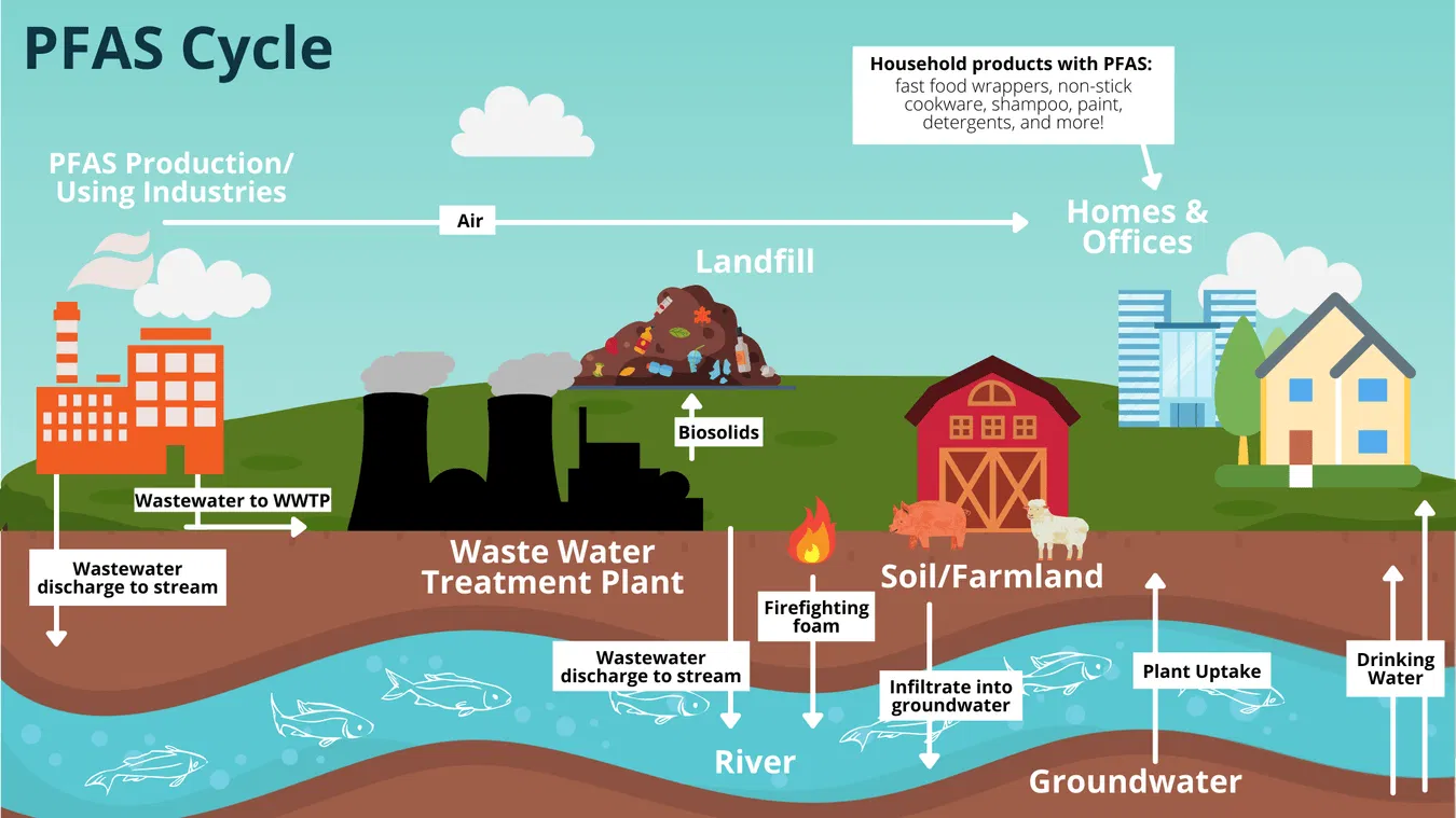 Diagram showing the environmental cycle of PFAS contamination