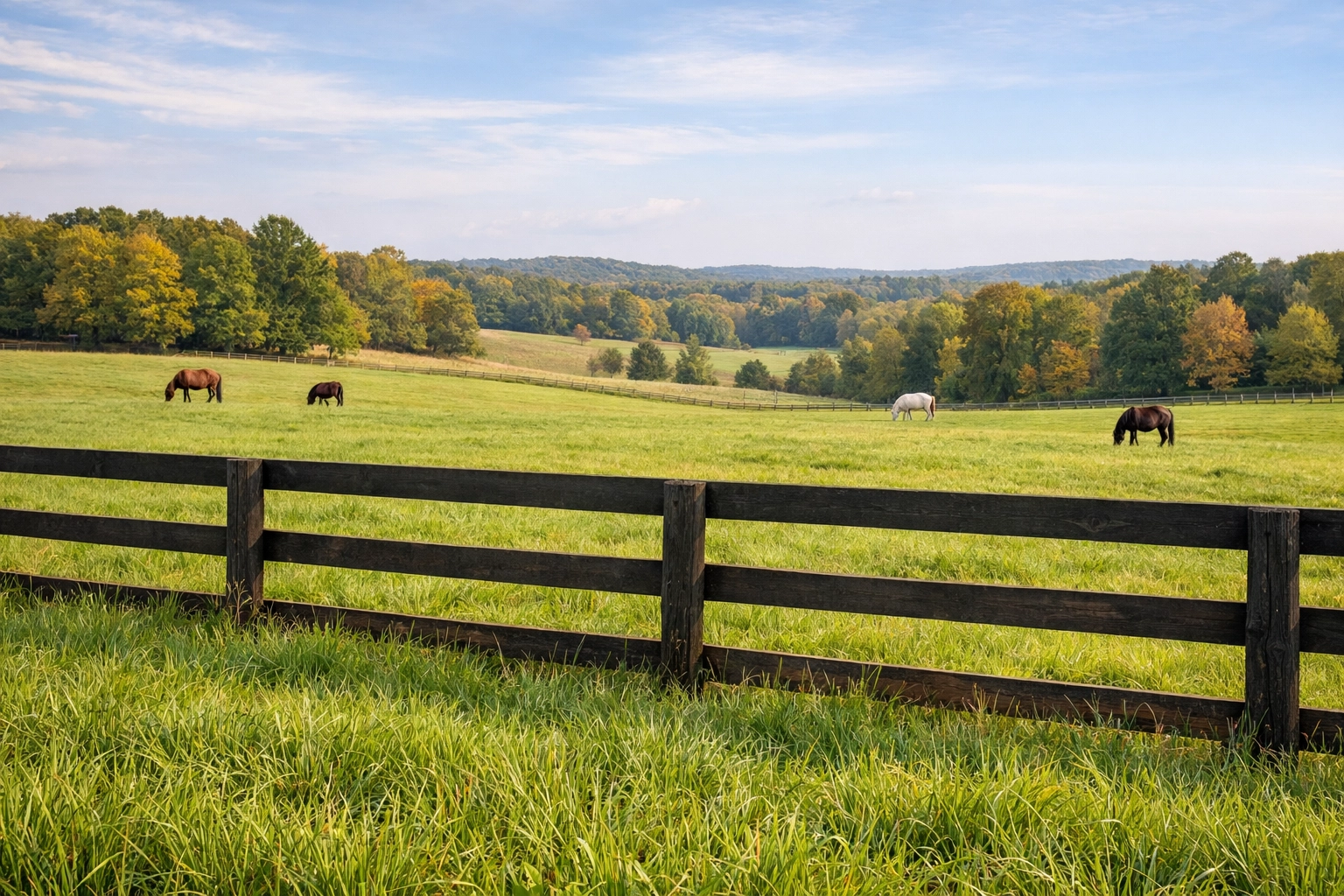 Lush horse pasture with diverse grasses in Charlotte NC Piedmont region