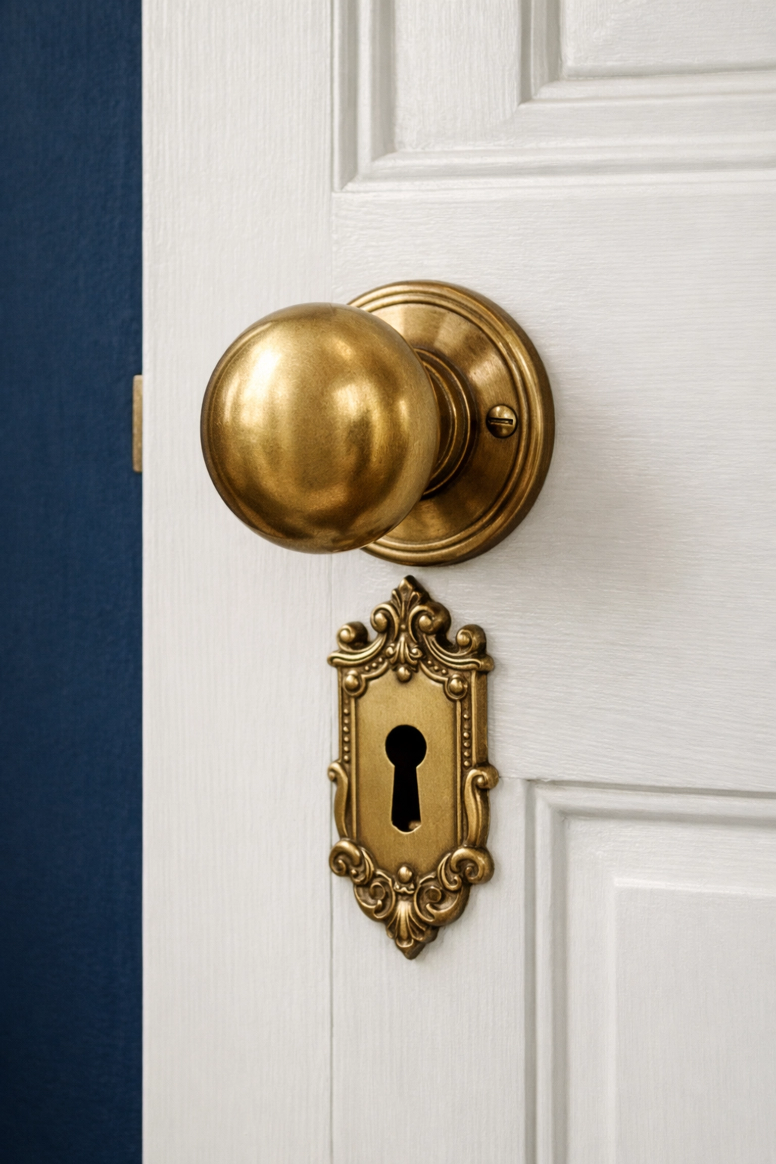 Professional cleaners preserving original brass hardware during a Lexington historic home cleaning session.