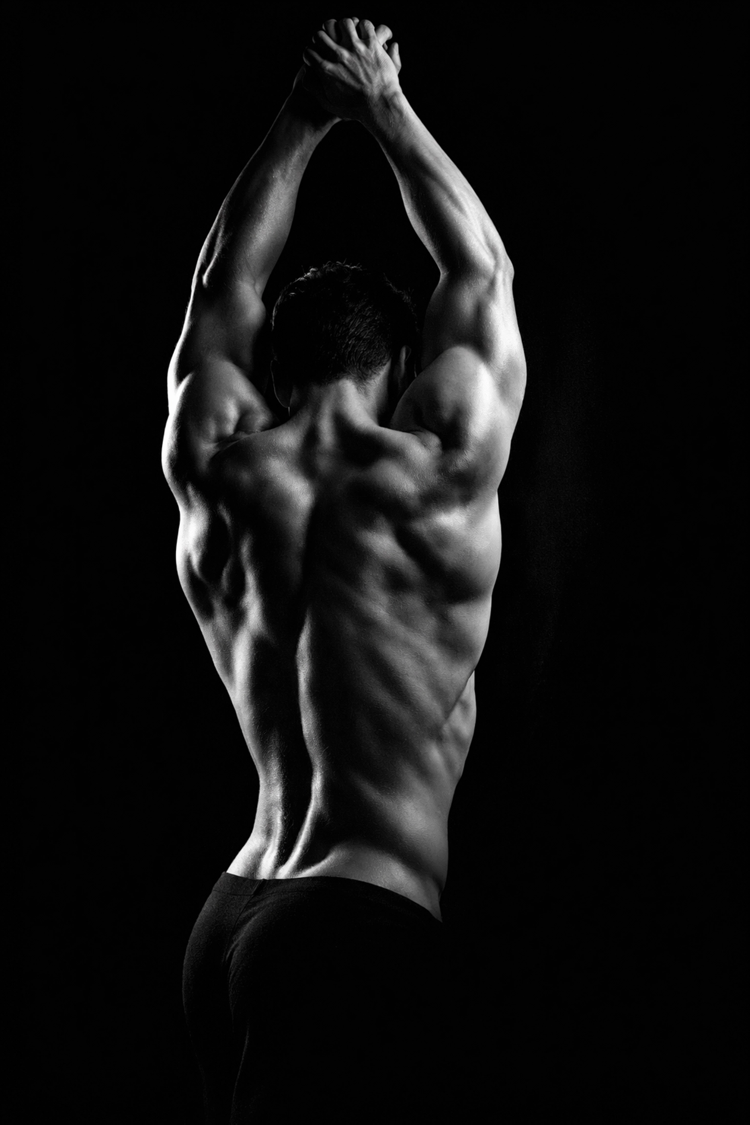 Artistic black and white photo of a muscular male back, highlighting physical power and anatomy.