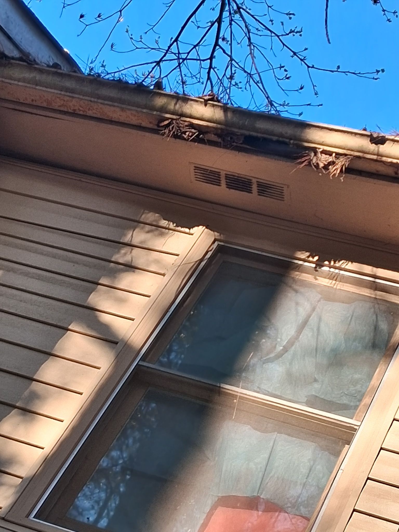 Close-up of severe wood rot and failed exterior trim uncovered during an Atlanta rental property inspection