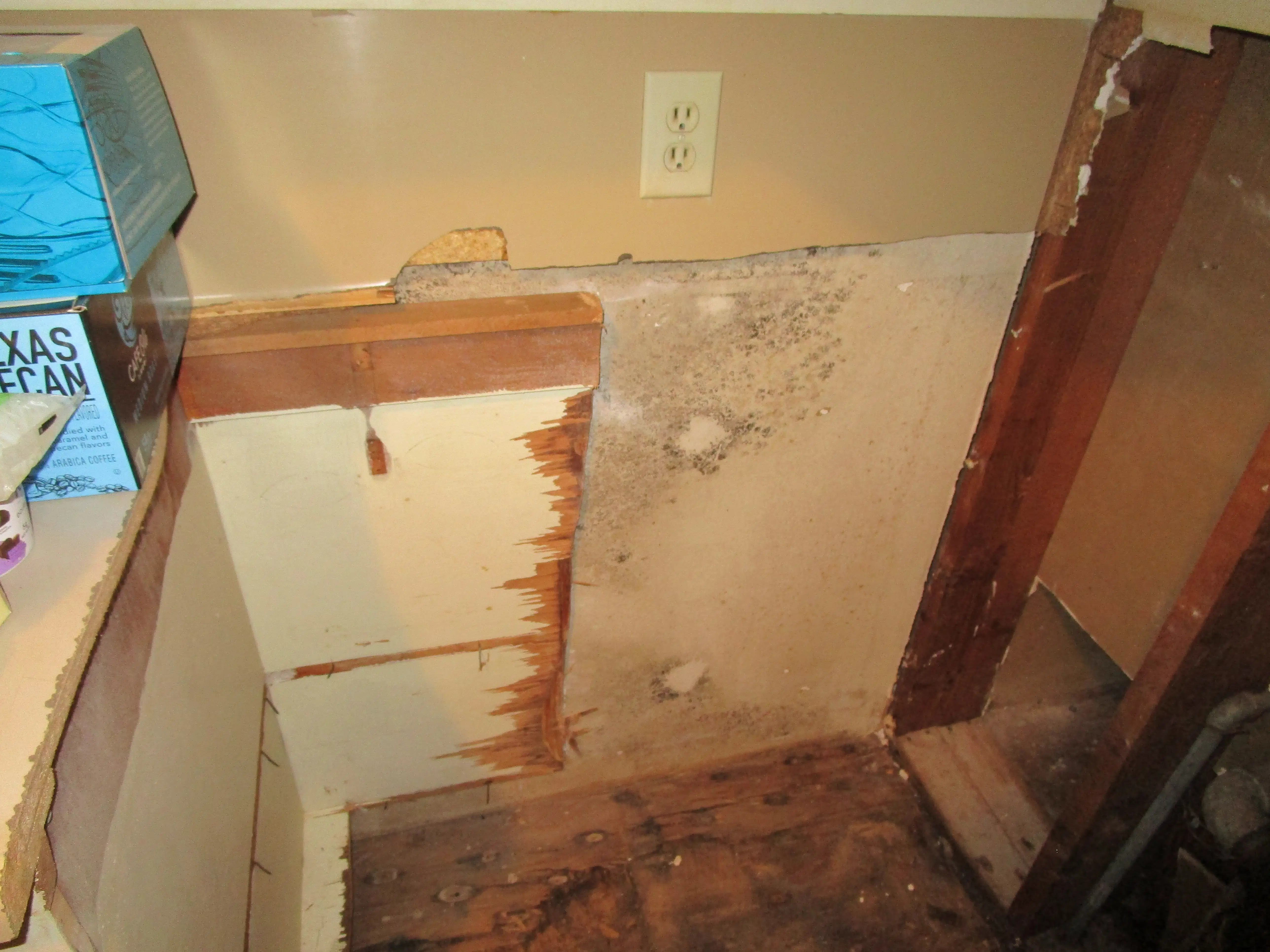 Exposed wall and floor area with extensive mold growth and structural damage