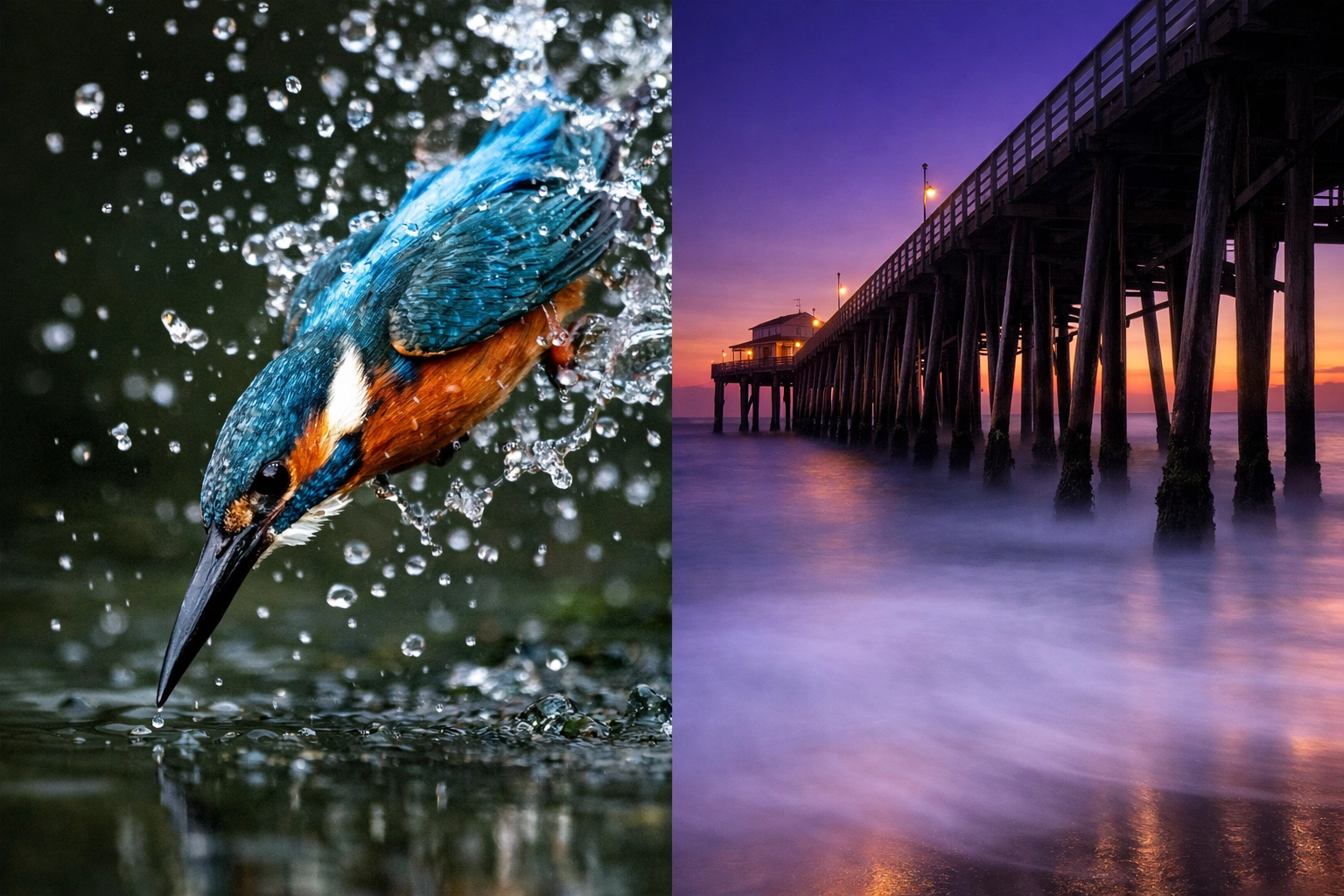 Split screen showing shutter speed effects for action shots and landscape photography tips.
