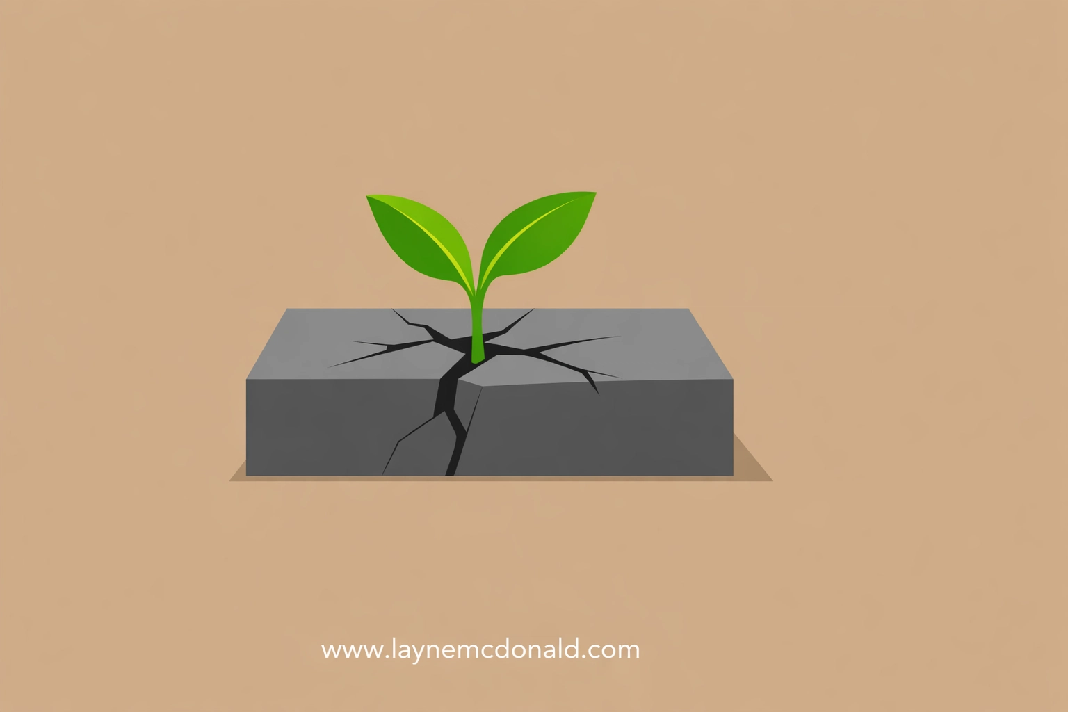 A small seedling growing from a stone block, symbolizing spiritual growth and authenticity in Christian media.