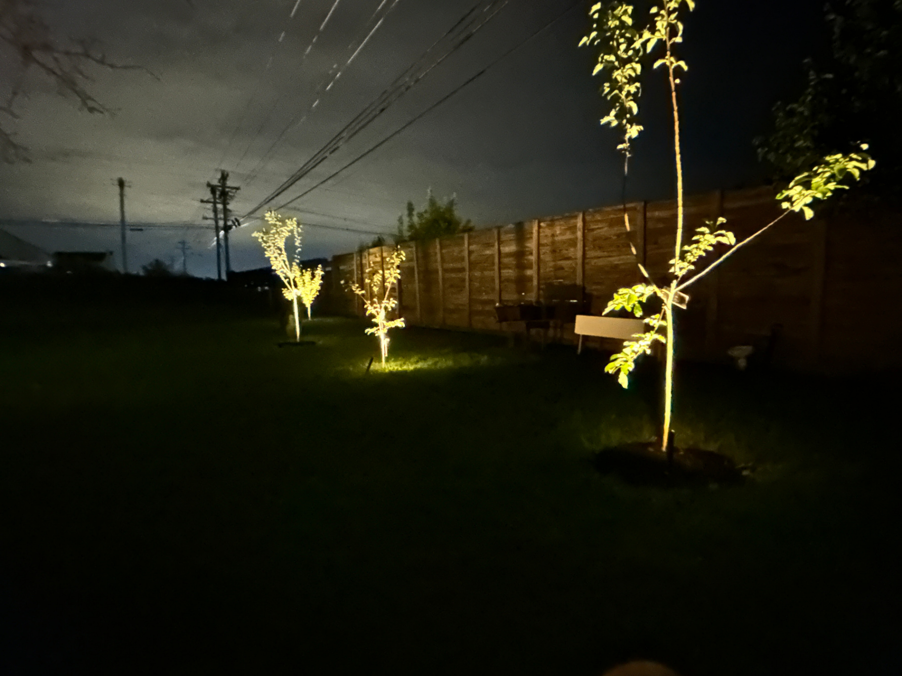 Low-voltage backyard uplights