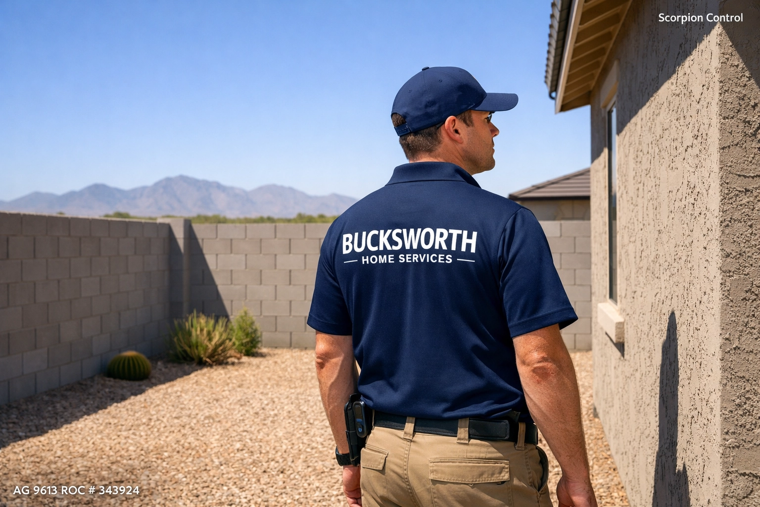 Bucksworth technician performing a proactive scorpion defense inspection in a Buckeye Arizona backyard.