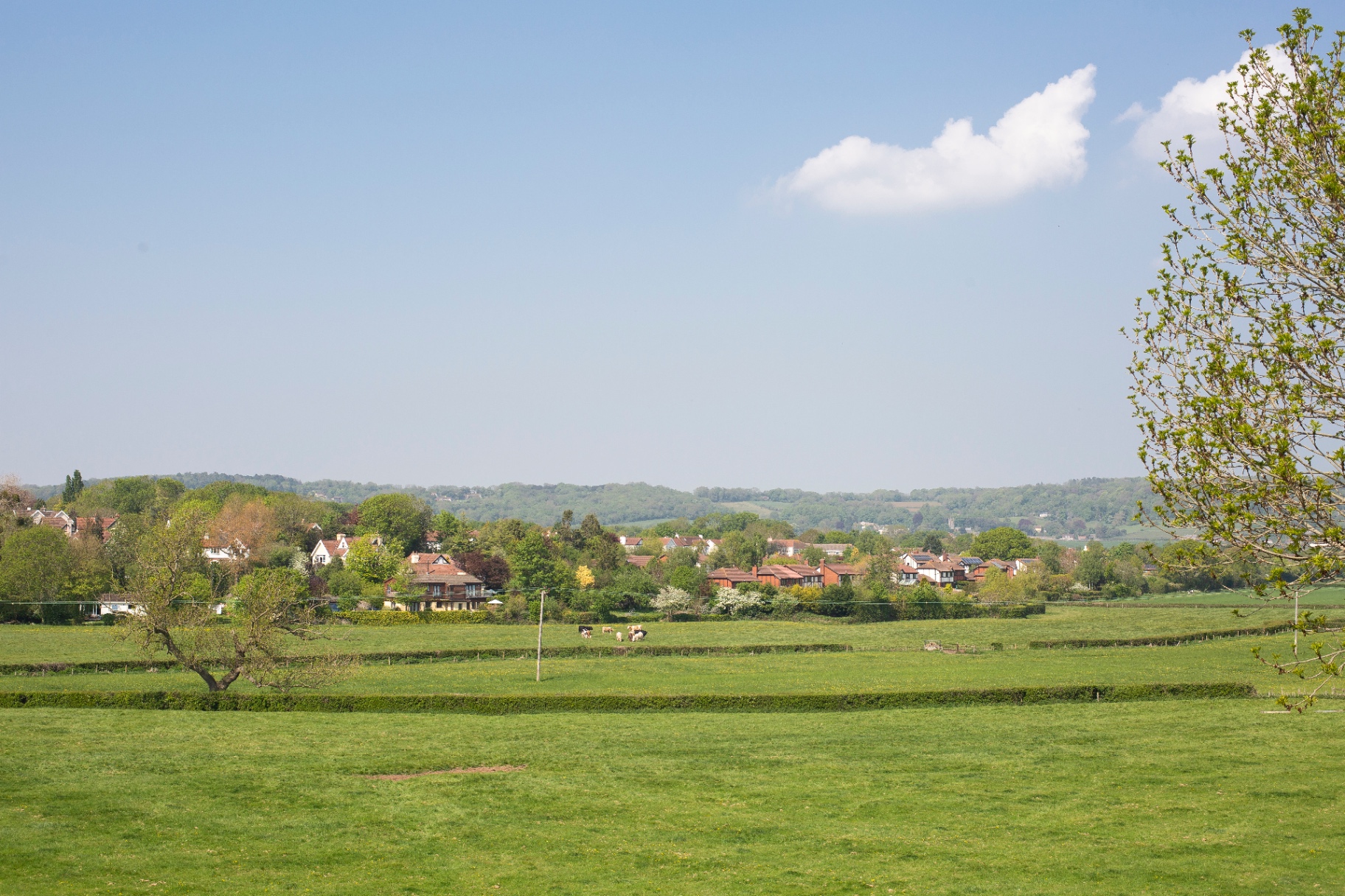 Panoramic view of North Somerset countryside