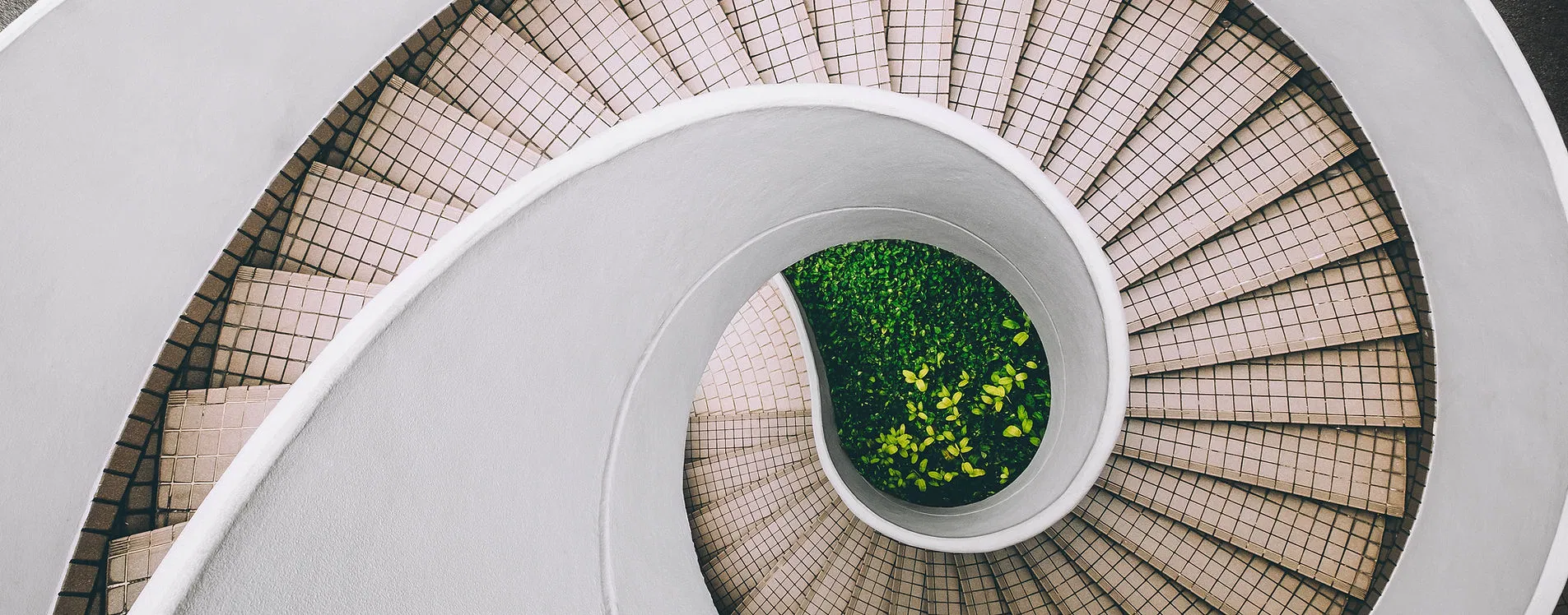 spiraling-staircase-above-green-plants.webp