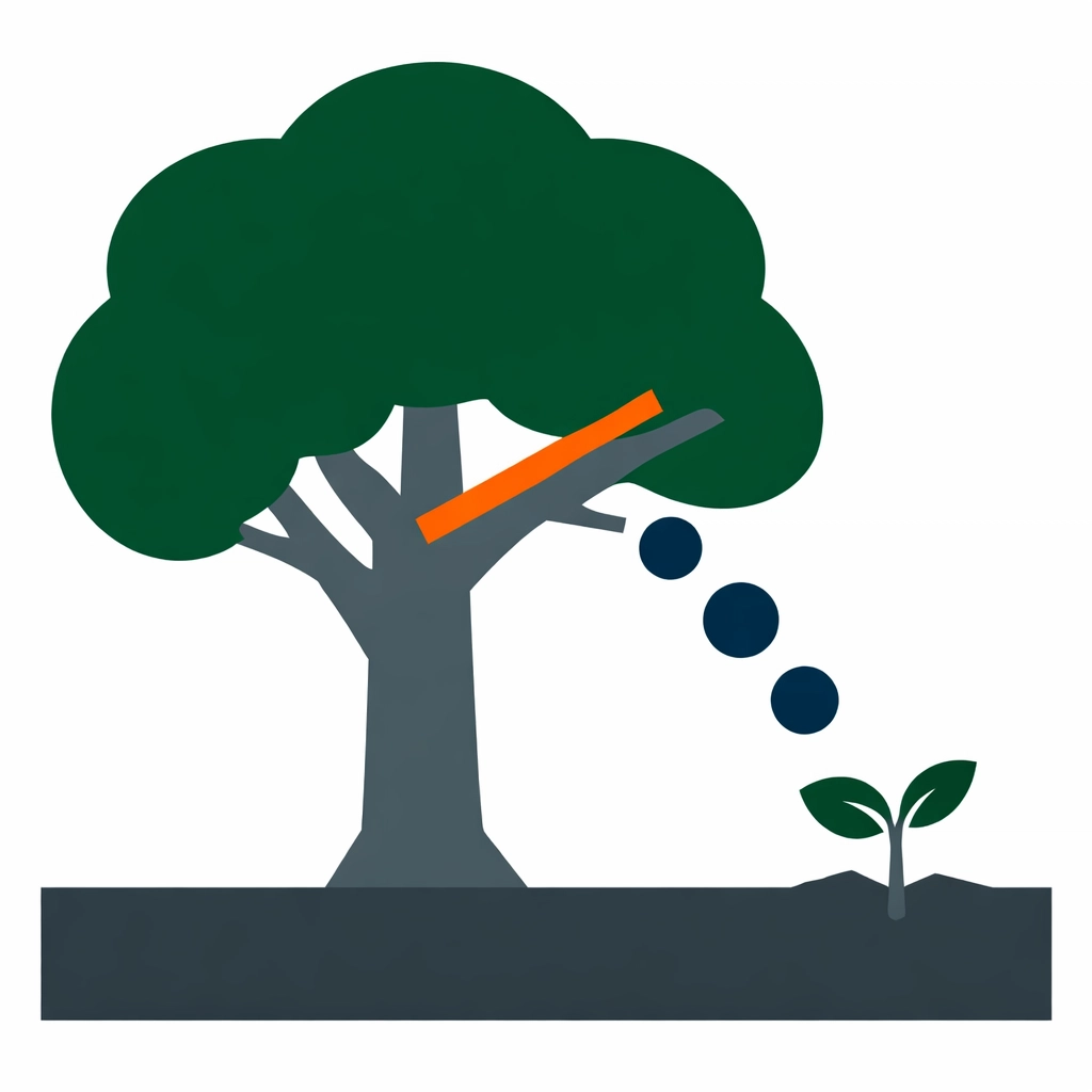 Expert tree pruning and maintenance provided by ISA certified arborists.