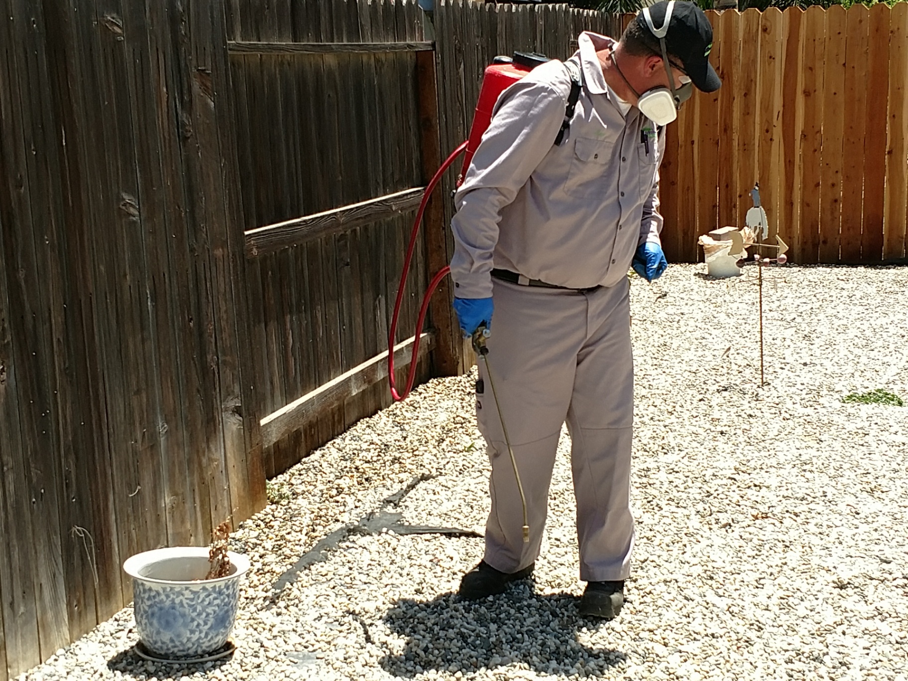 Technician Applies Eco-Friendly Pest Control