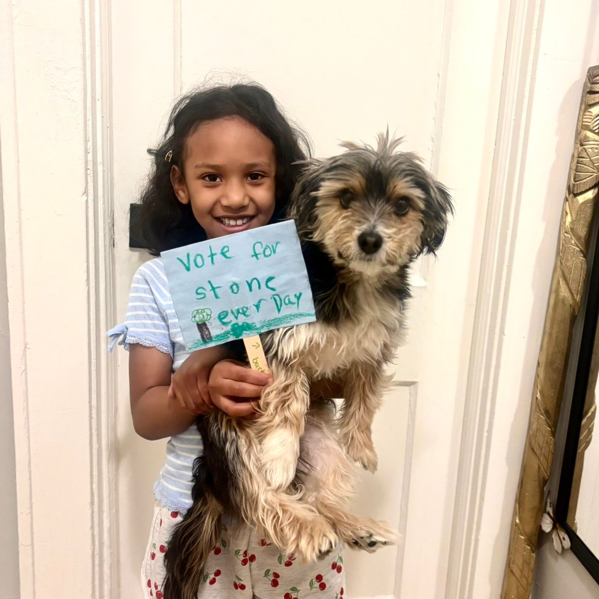 Local corner store backing the VOTE FOR STONE campaign in the Bronx