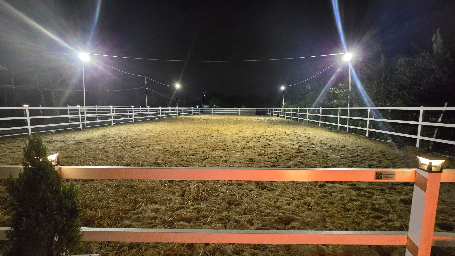 Evening horse riding lesson under arena lights at Vietnam Equestrian Club