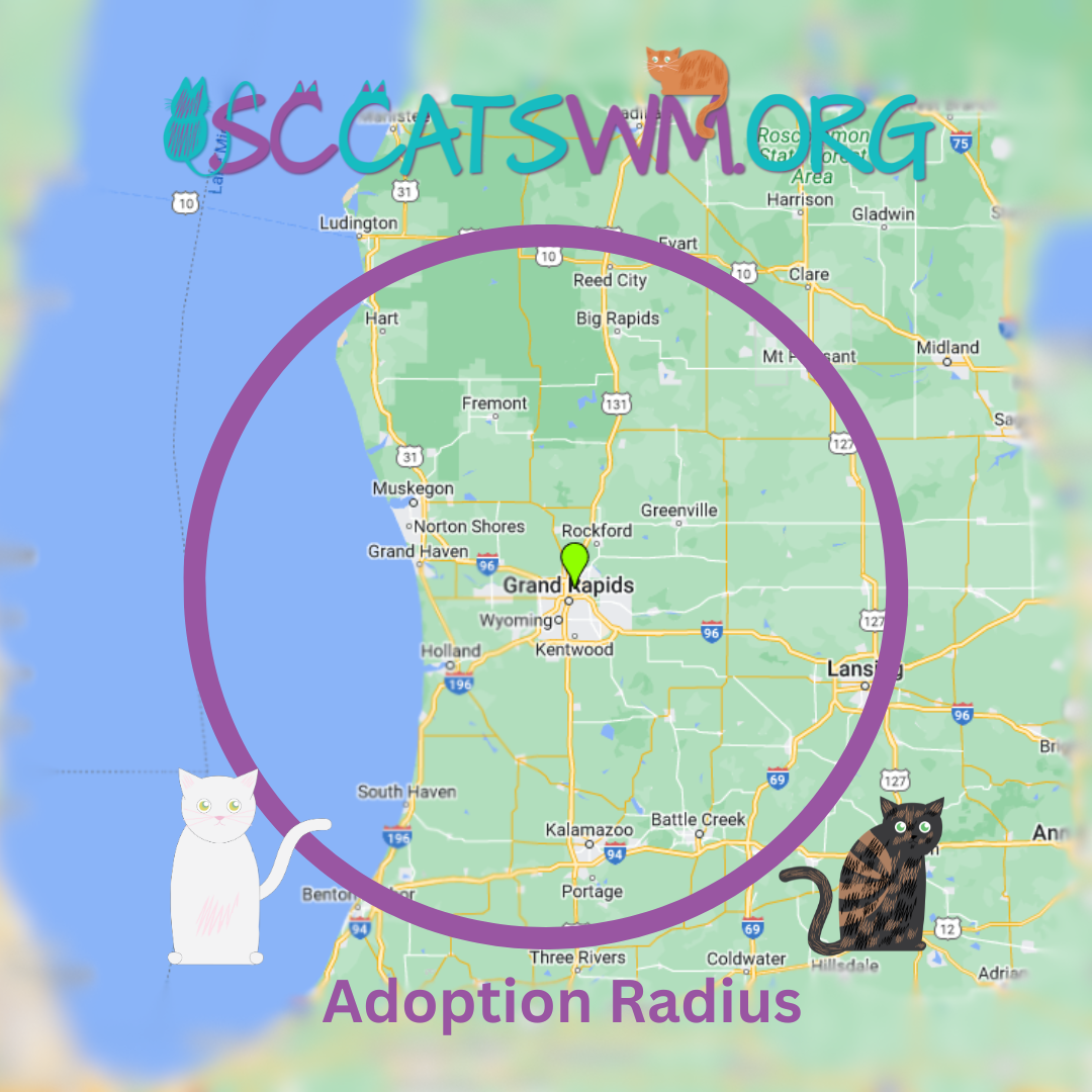 Map showing the West Michigan adoption radius for Second Chance Cats of West Michigan.
