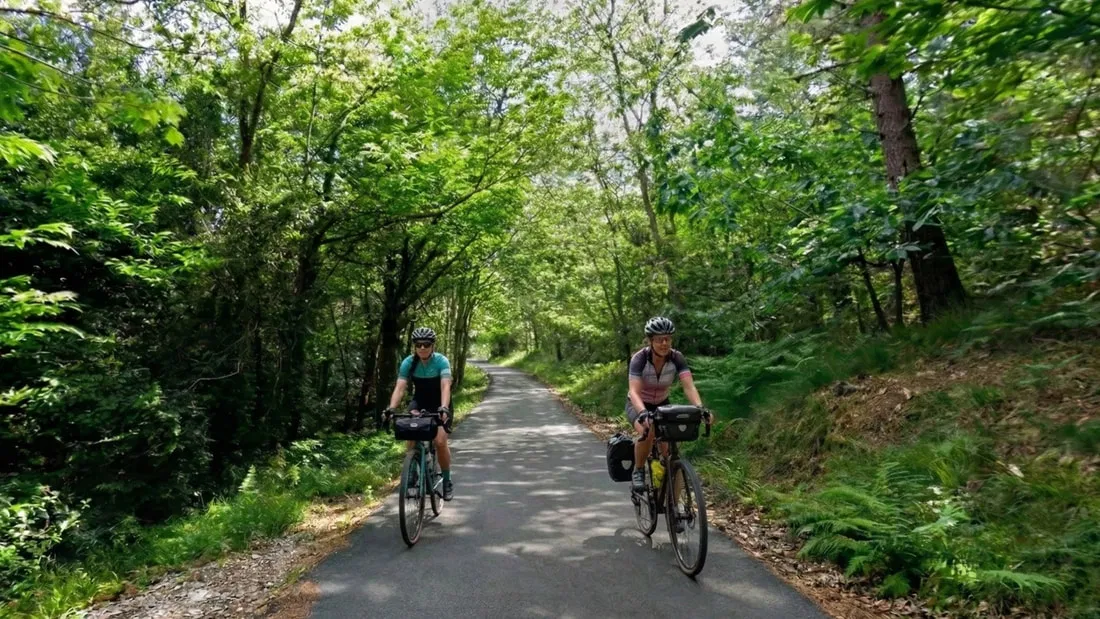 Two cyclists ride touring bikes along a shaded, tree-lined greenway in Spain