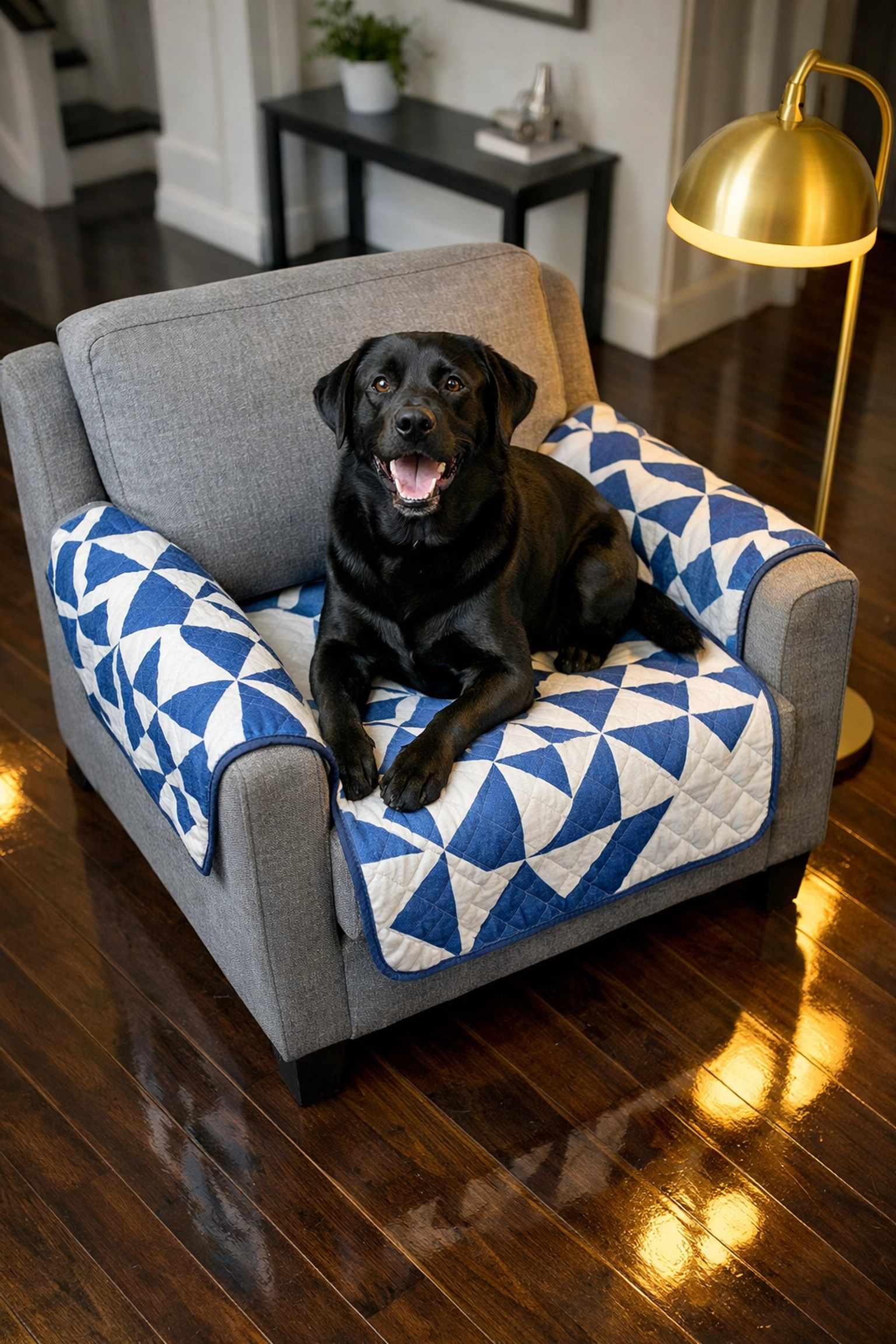 A happy dog on a protected armchair in a spotless home following a comprehensive professional deep cleaning.