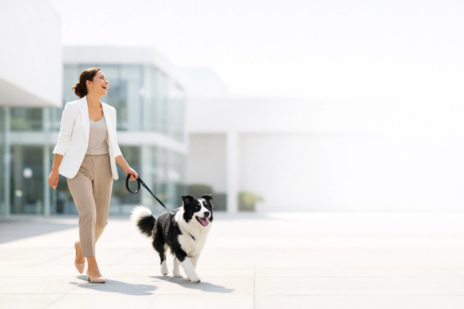 Professional woman walking a Border Collie outside an office, representing a healthy corporate pet culture.