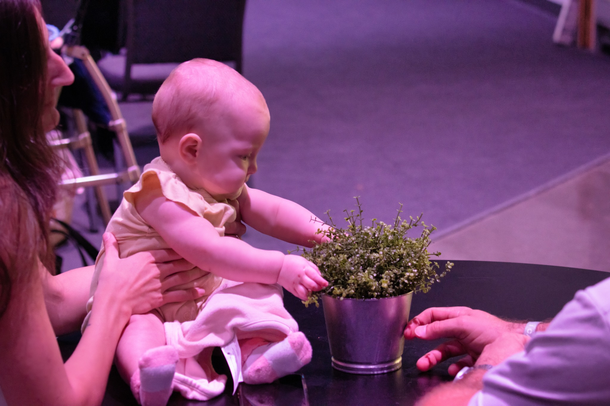 Family Connection Across Generations