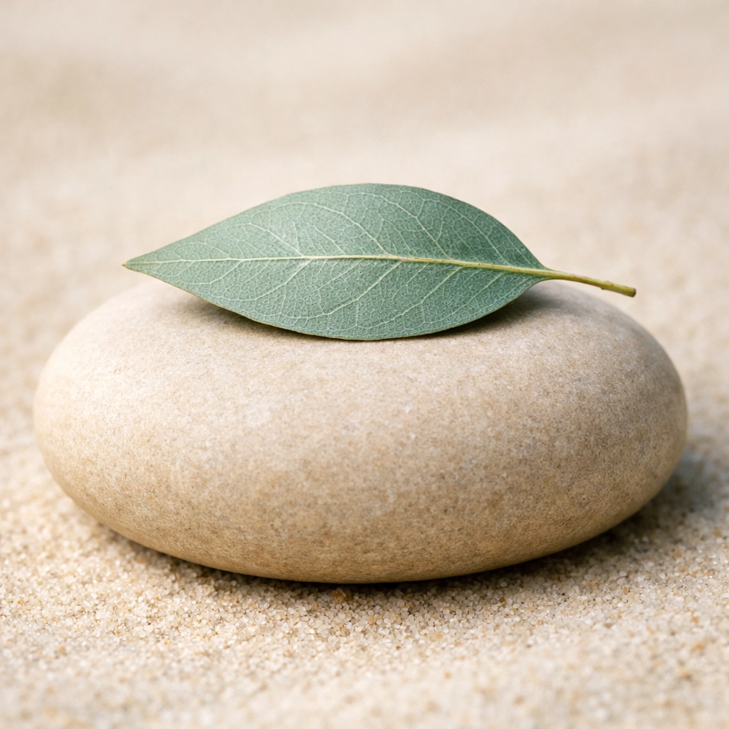 A green leaf on a smooth stone, representing stability and chronic pain relief in St. Petersburg.