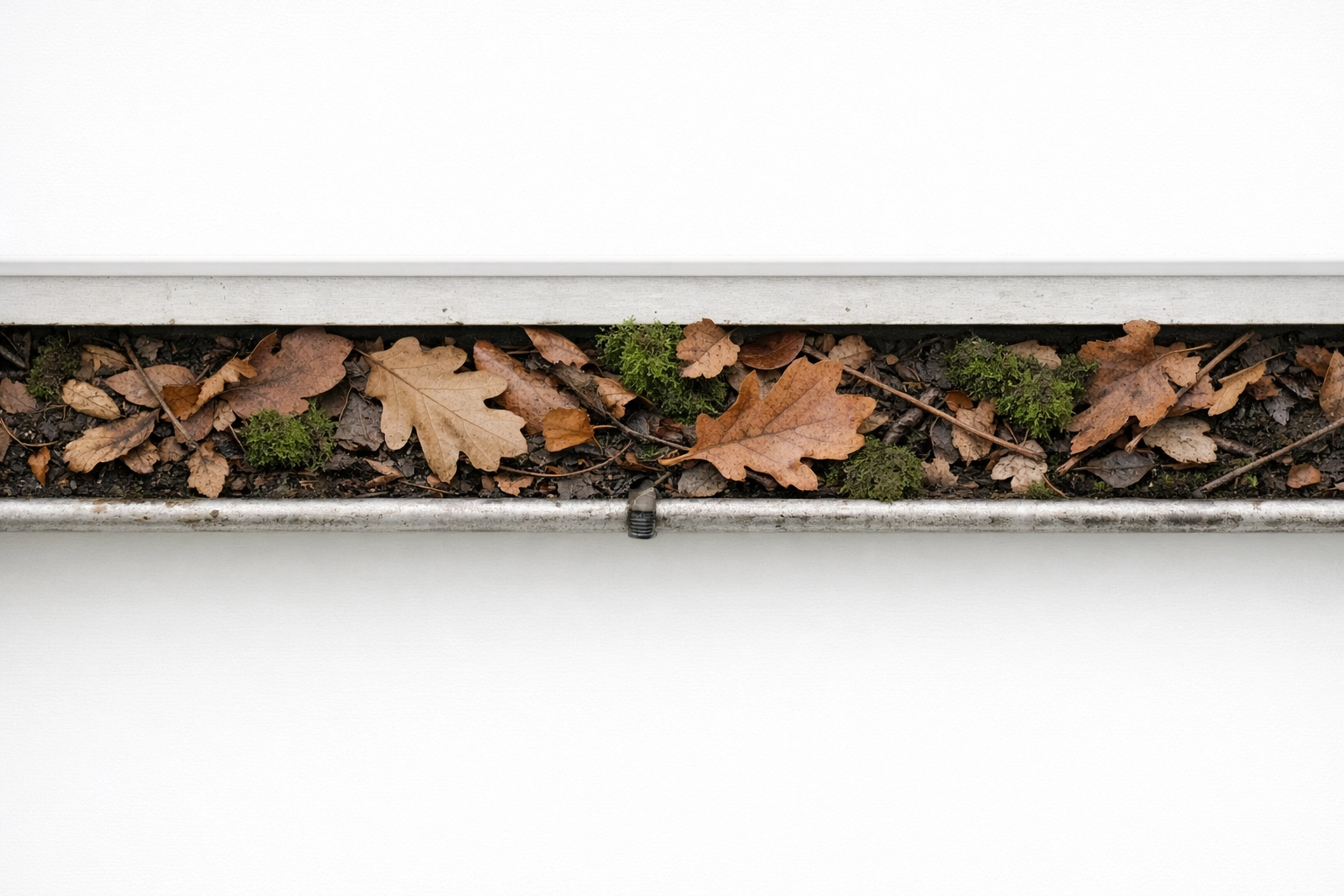 Clogged rain gutter filled with leaves and debris causing water damage risk