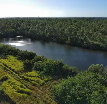 High-resolution aerial image showcasing dense green forest and wetlands