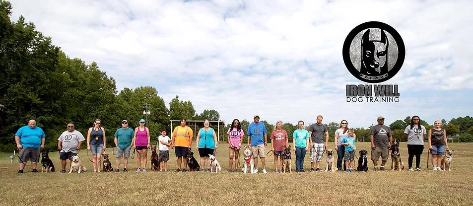 Group training classes provide the essential distractions needed to proof a dog's obedience in public settings.
