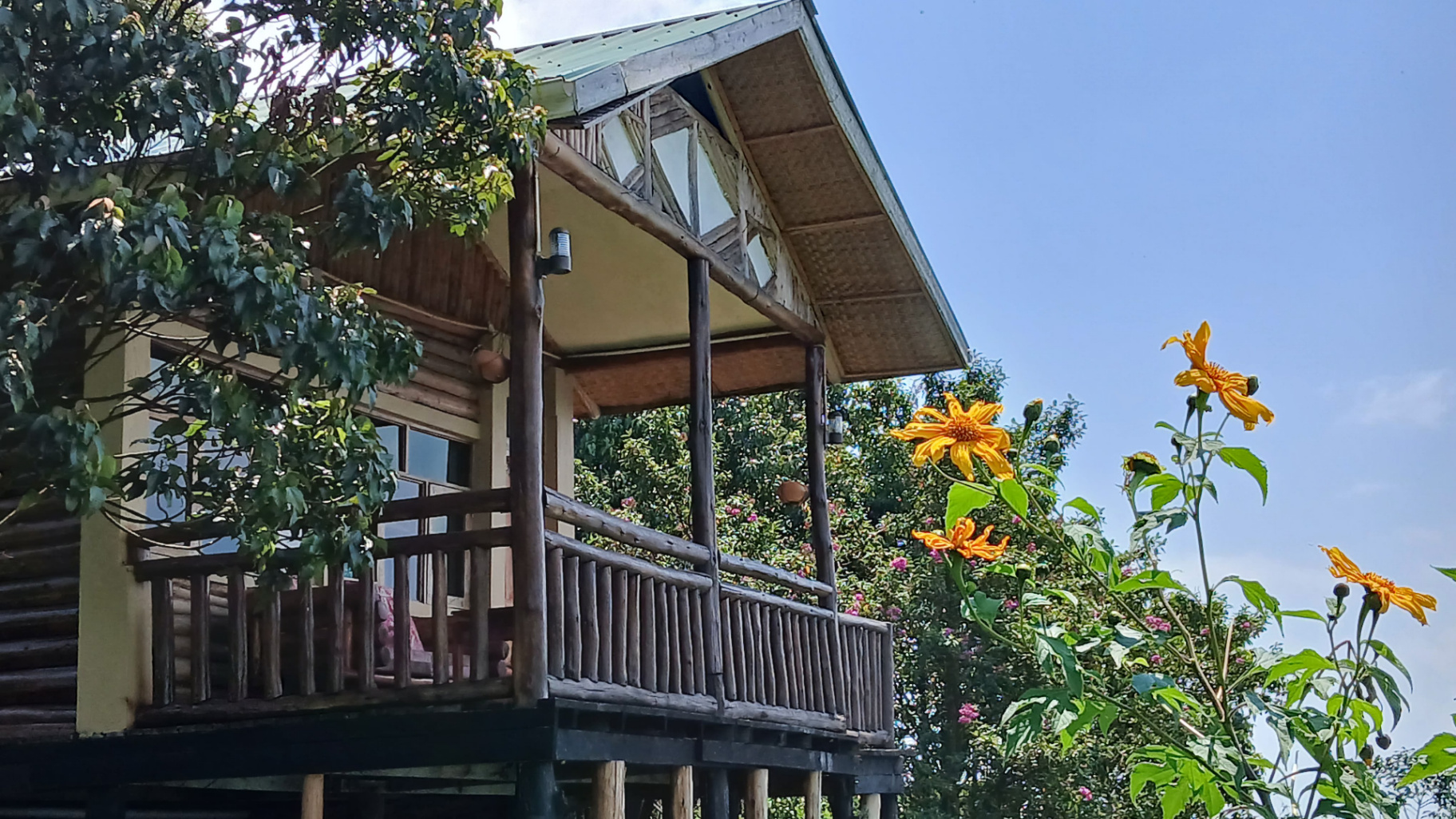 Best time to visit Uganda for gorilla trekking - Orugano Bwindi Lodge eco-cabin accommodation in Nkuringo