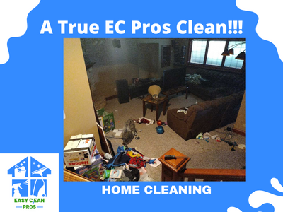 Cluttered Living Room