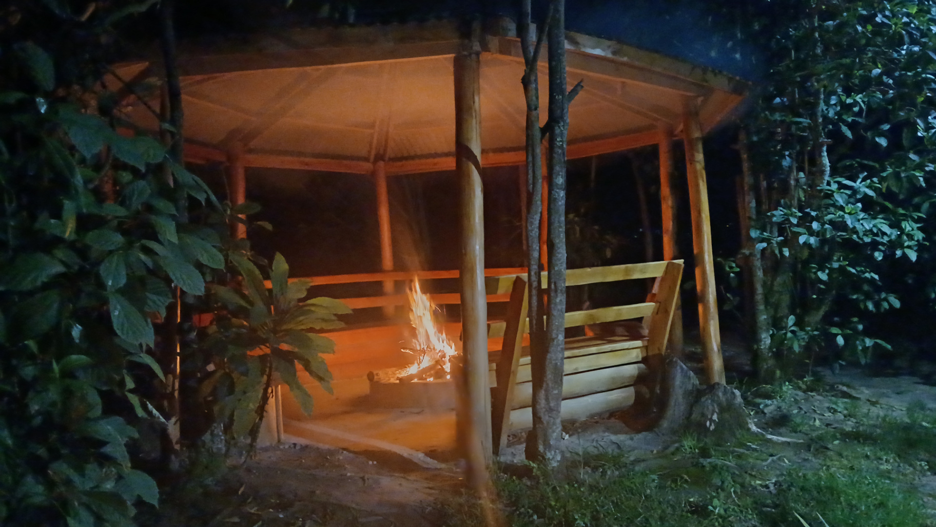 African Television and Gorilla Trekking Recovery at Orugano Bwindi Lodge