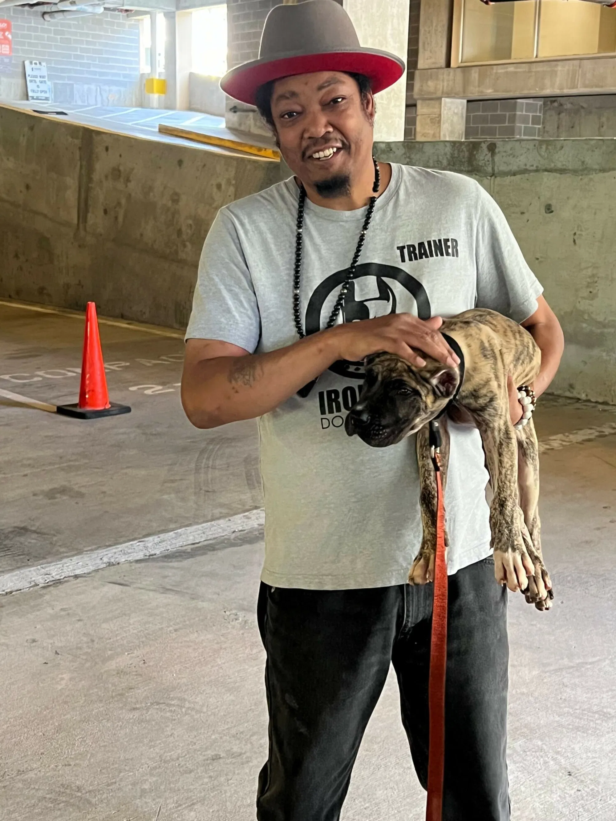 A trainer working with a puppy to build confidence and manners