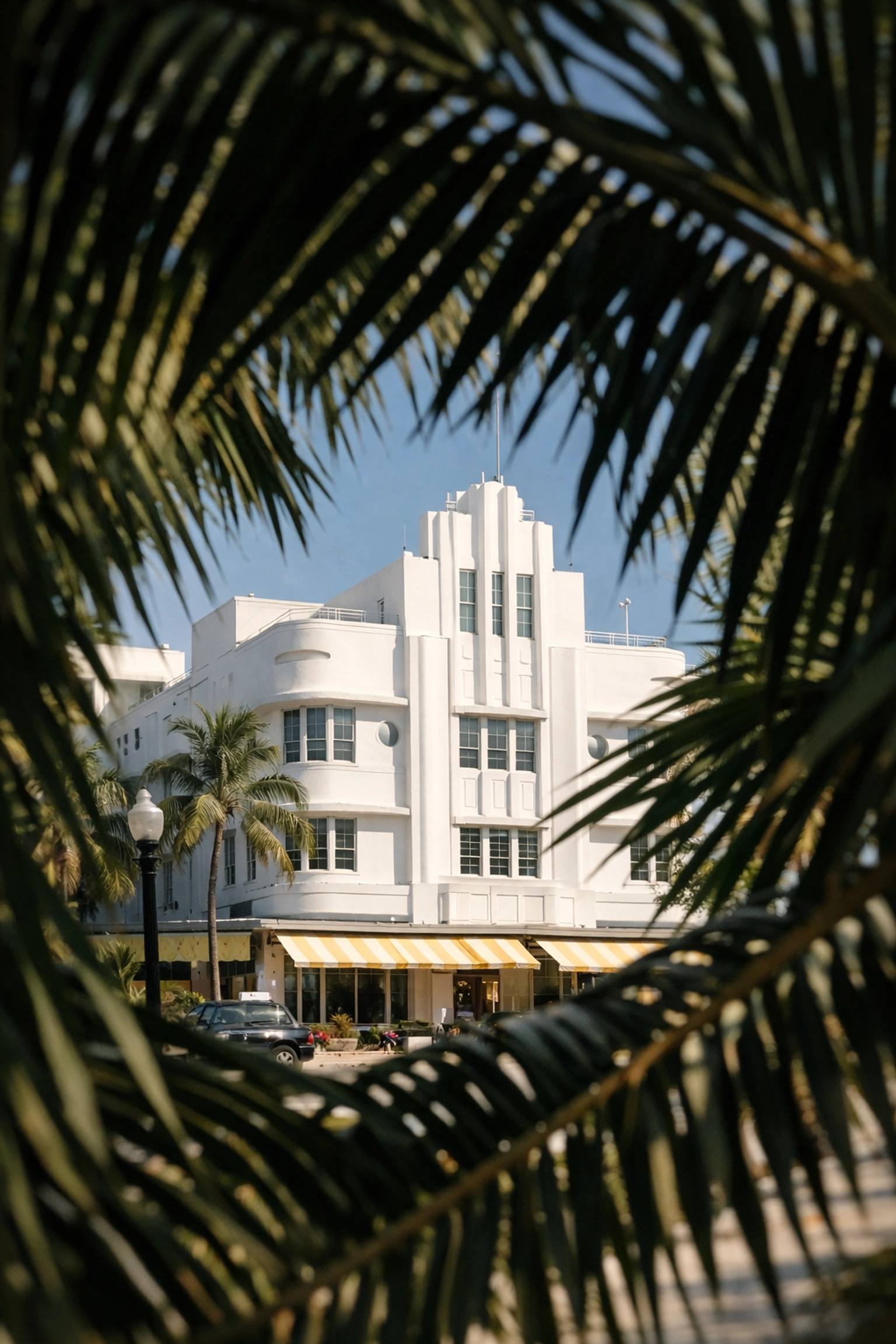 Palm trees framing an Art Deco building in South Beach, demonstrating techniques used on a Miami photography tour.