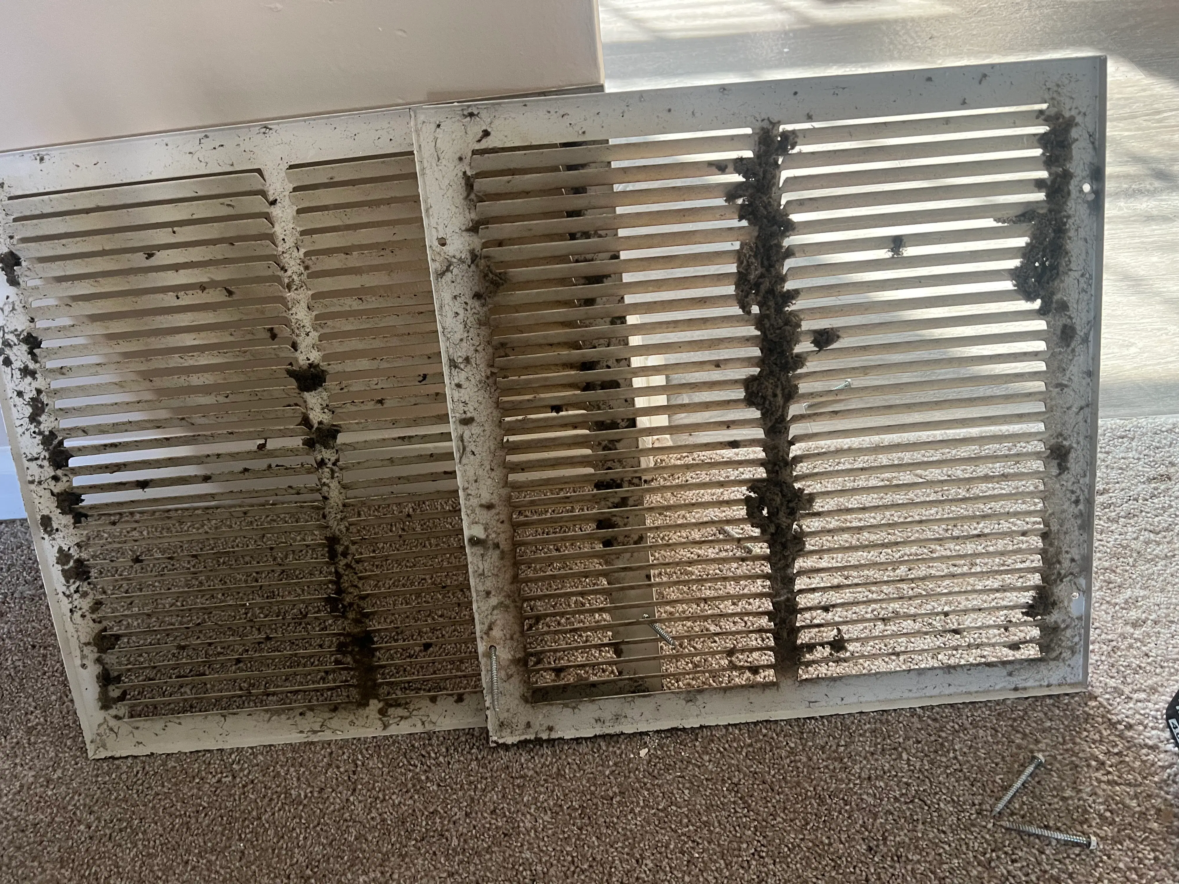 Dusty air vent covers on carpet