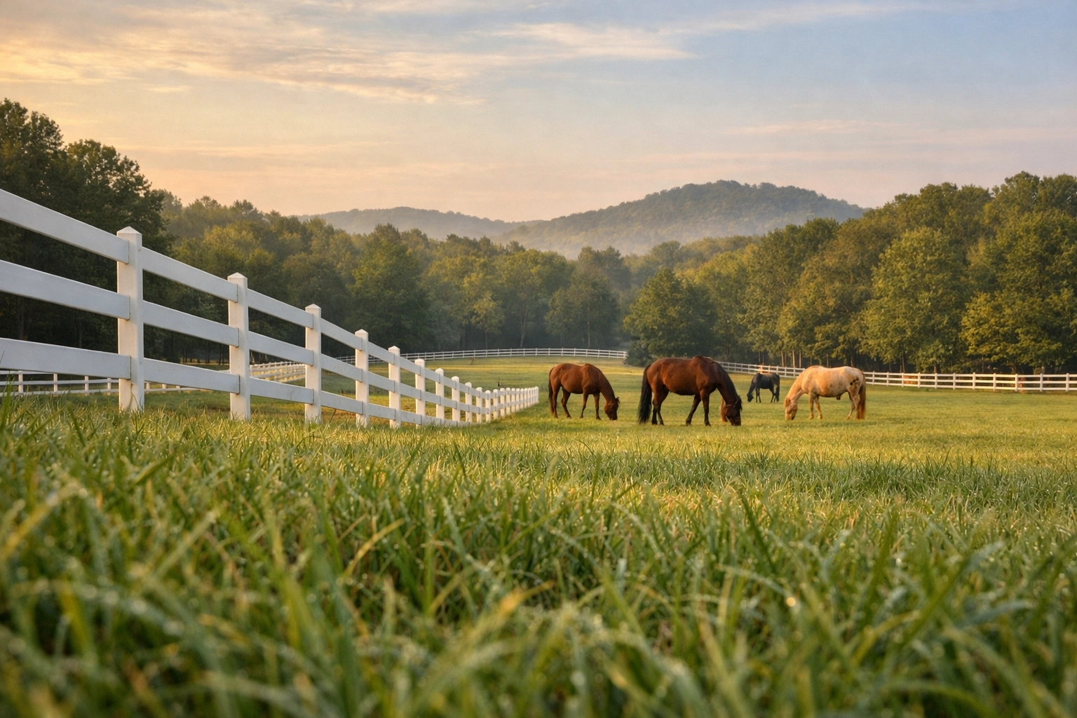 Horses grazing in well-maintained pasture with board fencing on Charlotte equestrian property