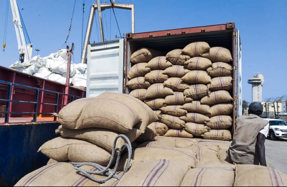 Export loading and logistics