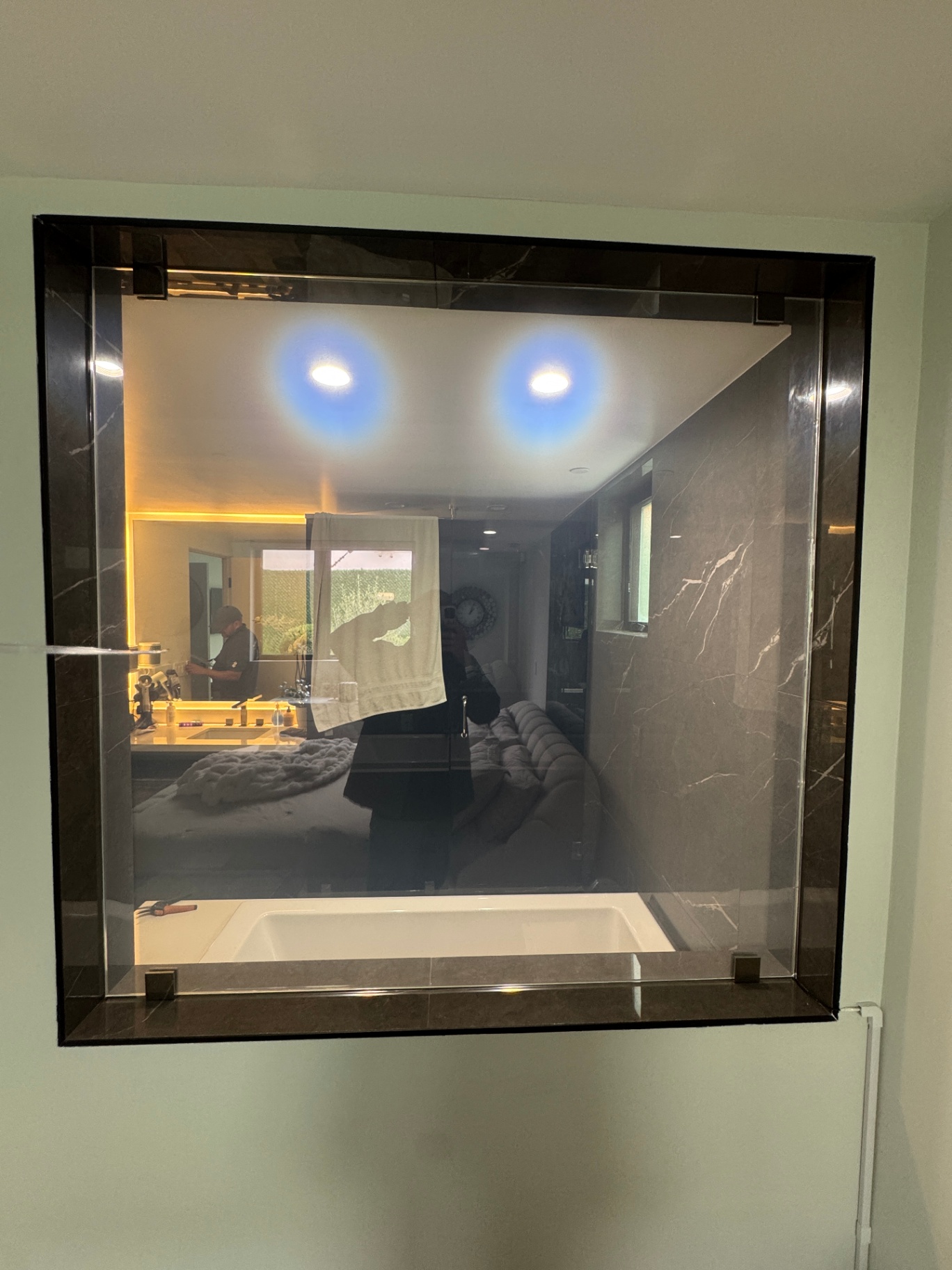 Smart Film Bathroom Partition