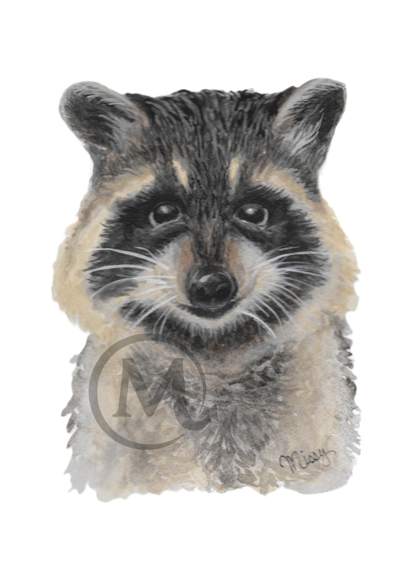 Watercolor Raccoon print by Missy