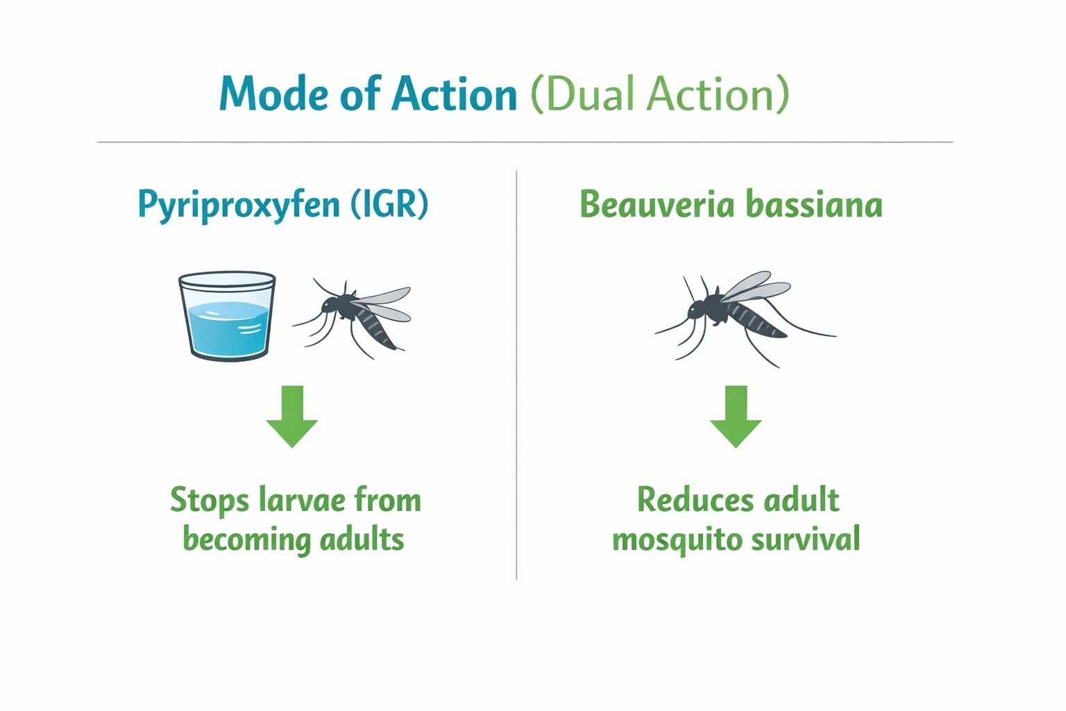 Mode of action infographic showing dual action: pyriproxyfen stops larvae from becoming adults; Beauveria bassiana reduces adult survival.
