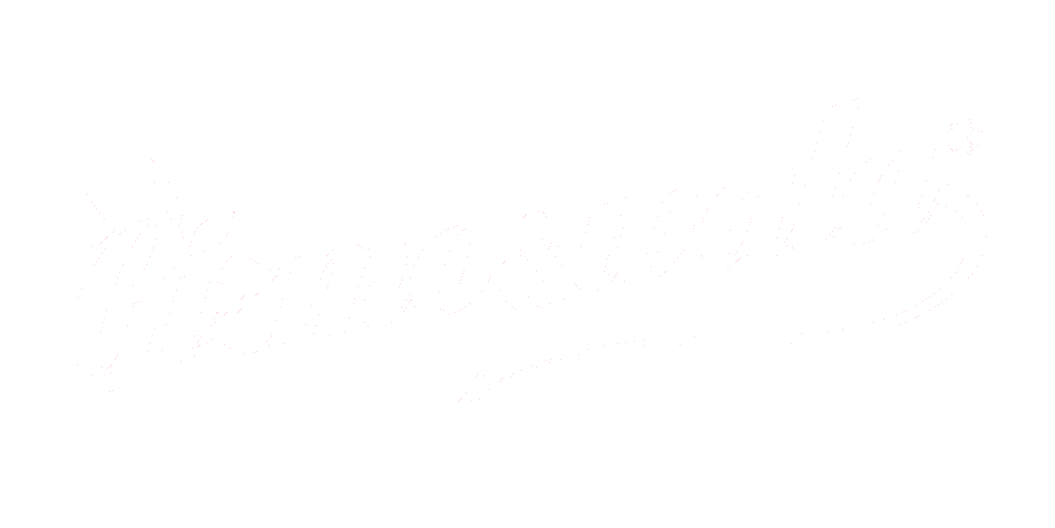 Gizmoswala Logo