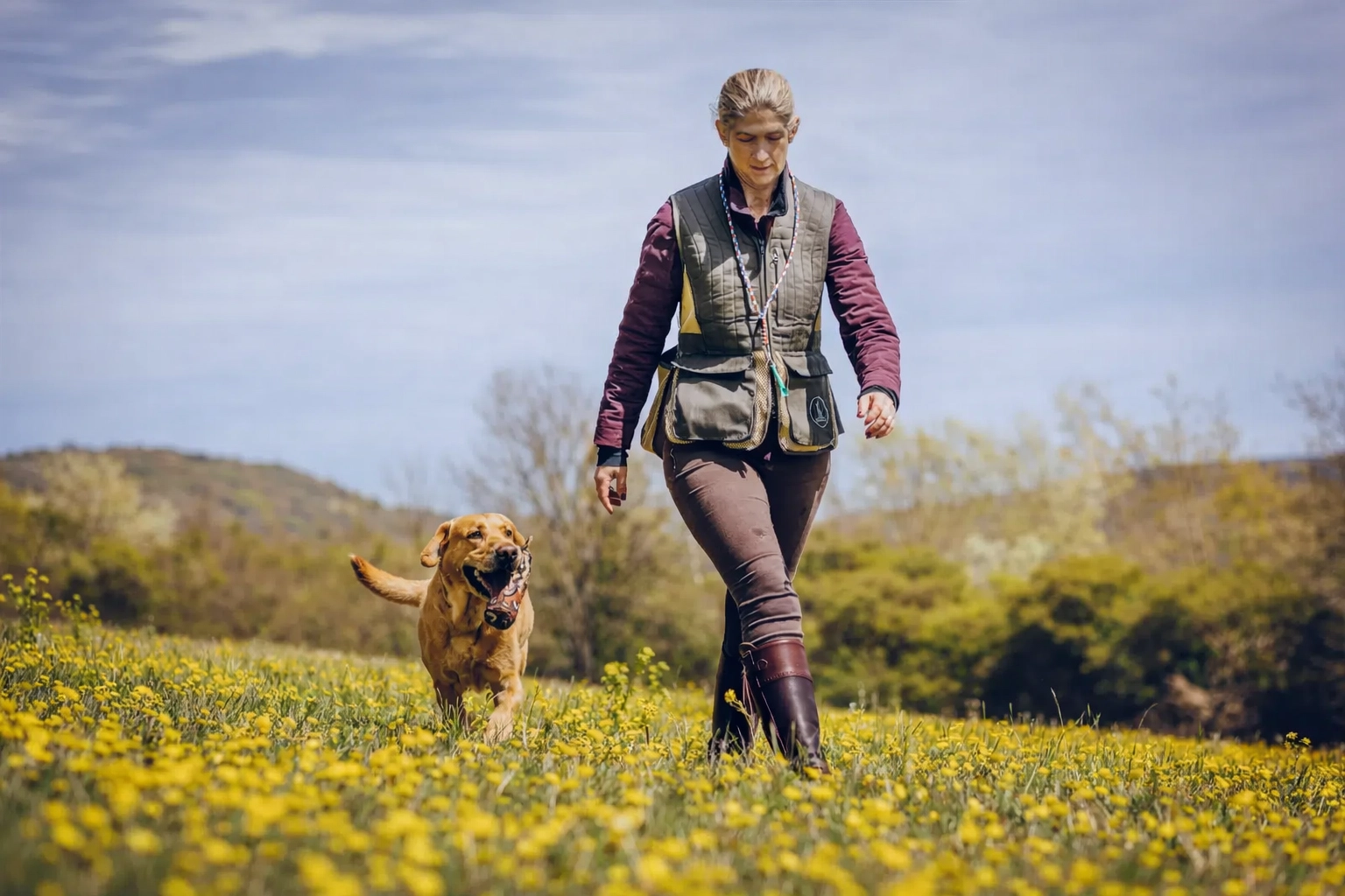 A gundog owner leads a training session outdoors, walking through a field of yellow wildflowers with a Labrador retriever carrying a dummy. The image captures one-to-one hands-on training and the bond between owner and dog, highlighting practical skills and positive engagement, core to The Gundog Coach’s personalised approach.
