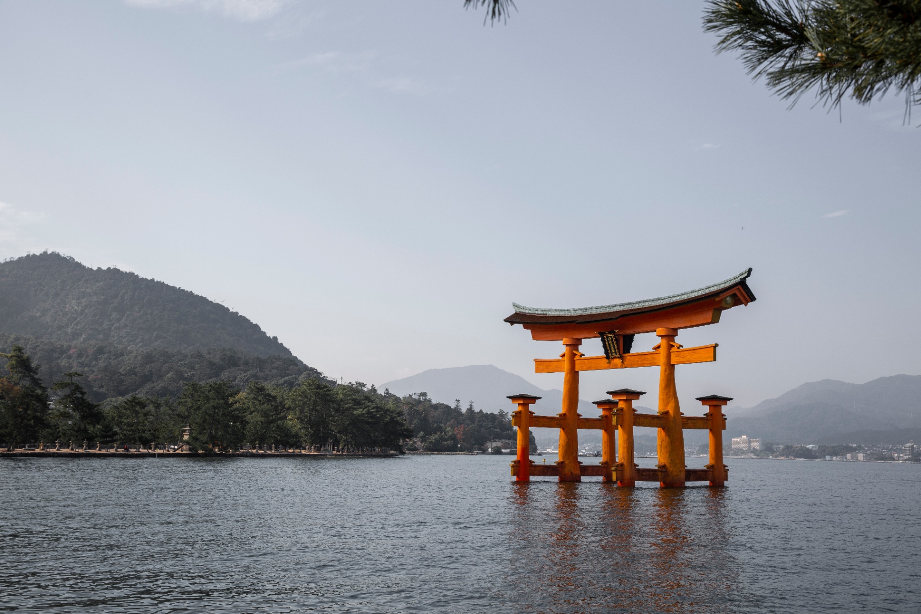 Adytum Original, fine art photographic print by Andrew Paranavitana, quiet interior sanctuary tones, archival wall art Australia