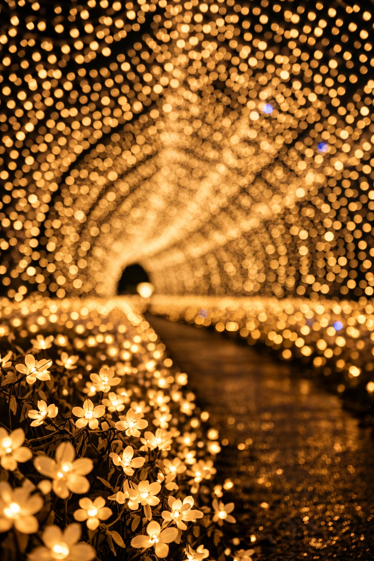 Golden Tunnel of Lights at Nabana no Sato, one of the best photography locations for night illuminations.