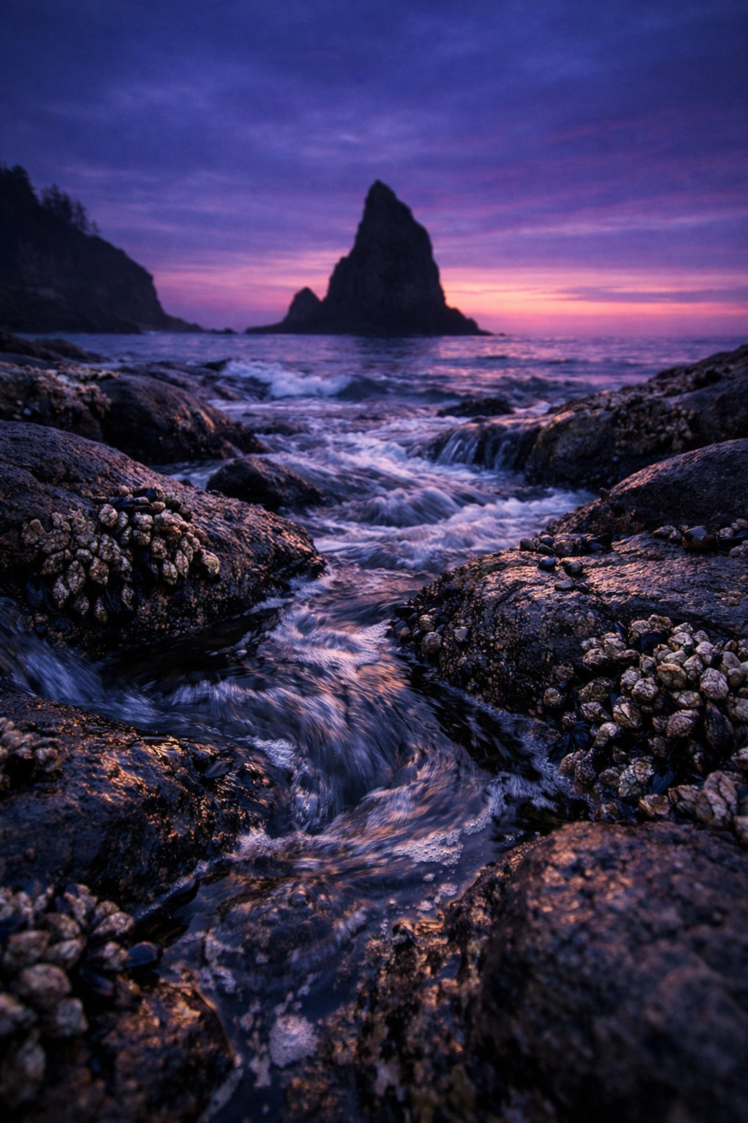 Strong foreground rocks in a coastal scene provide depth and interest in landscape photography composition.