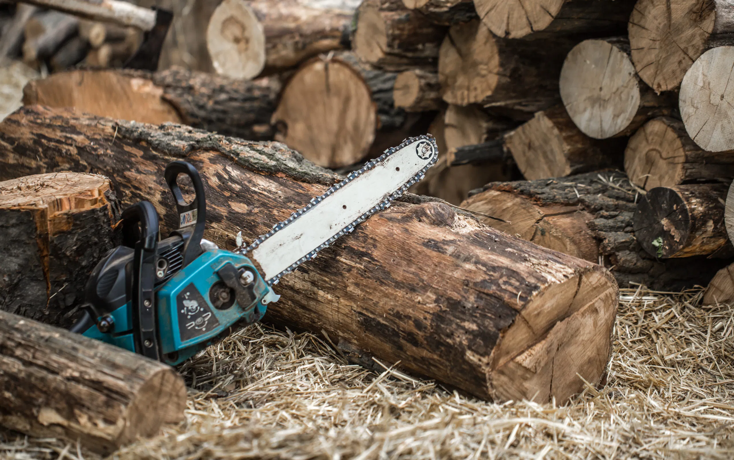 Chainsaw on firewood log