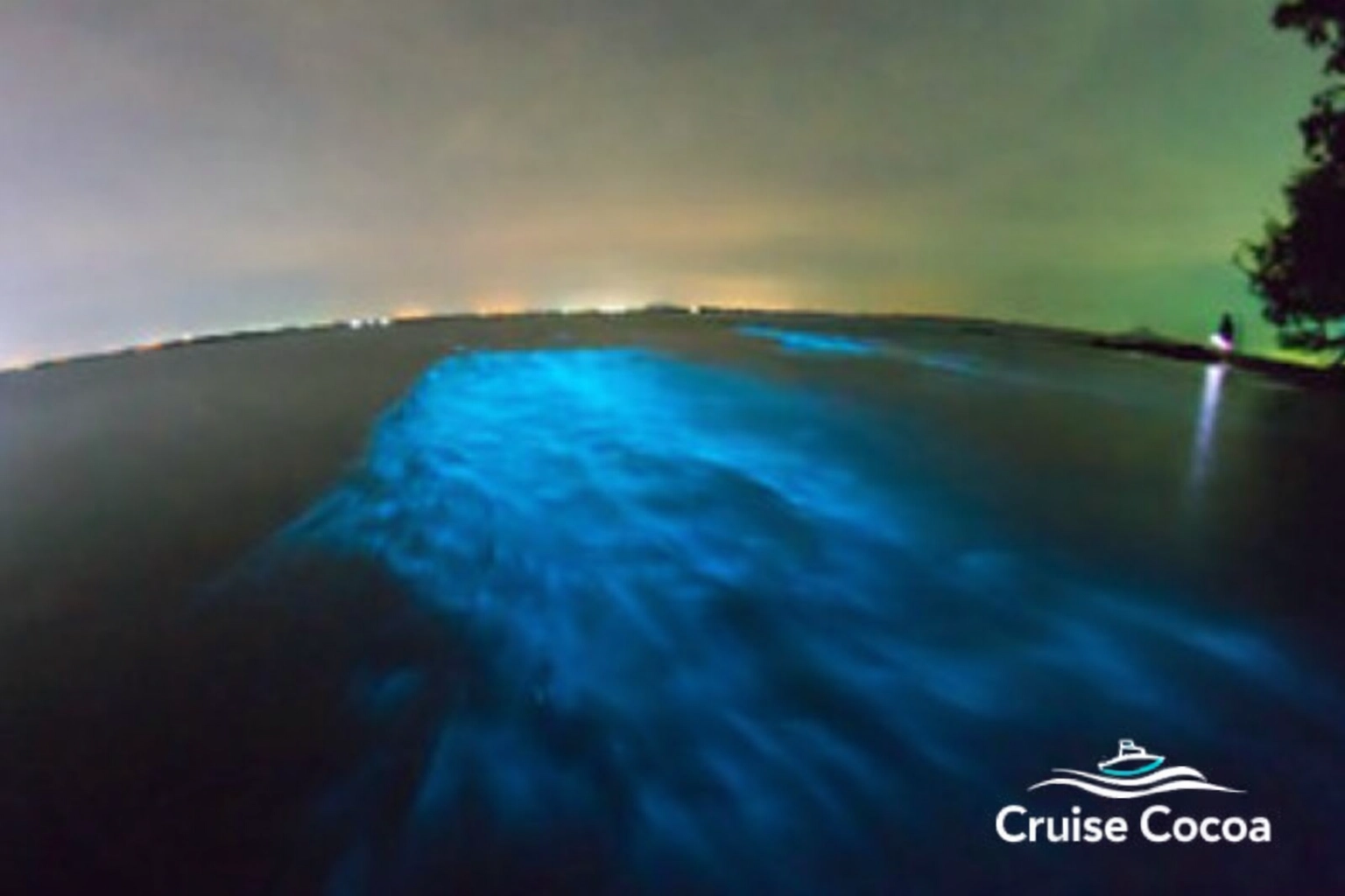 Bioluminescent Algae Glowing in Indian River Lagoon