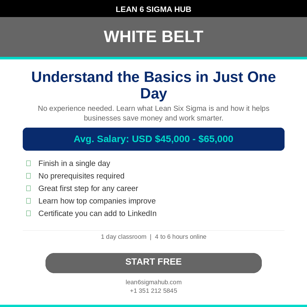 White Belt course overview