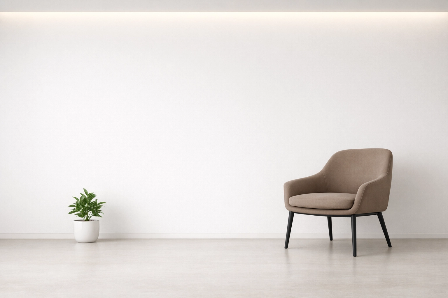 Clean and professional chiropractic clinic interior showing successful practice growth.