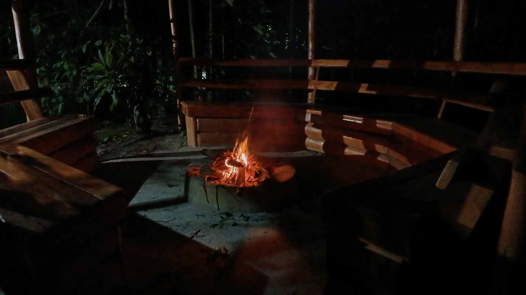 Breathtaking view of Bwindi Impenetrable Forest from a luxury eco-lodge balcony