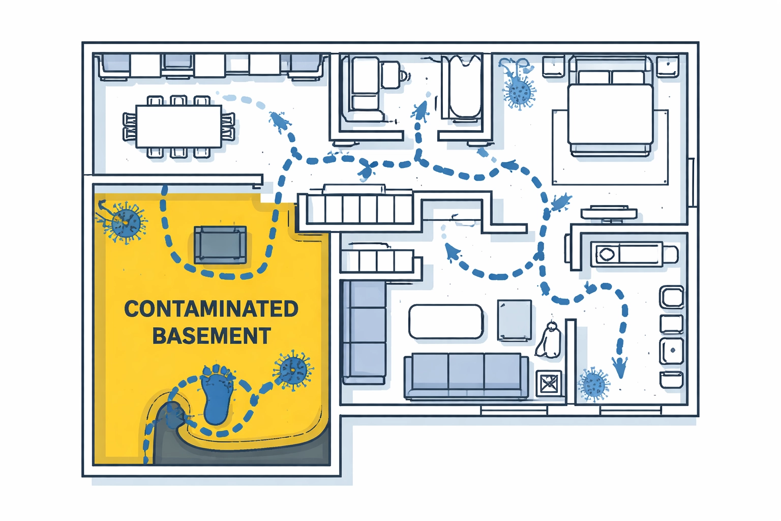 Diagram showing cross-contamination spreading from a sewage-affected basement throughout a home, emphasizing sewage clean up risks.