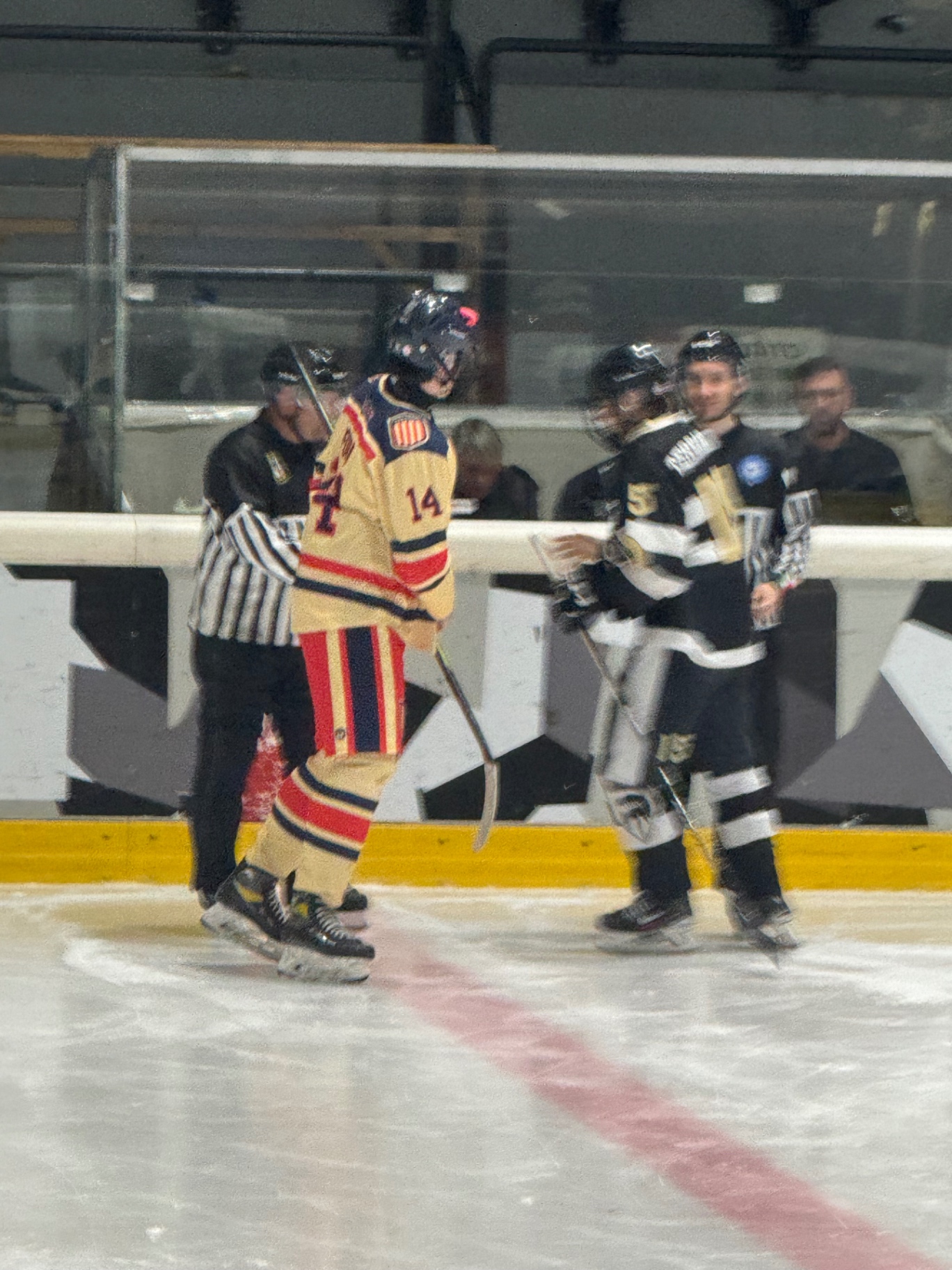 Youth Hockey Players International Greeting