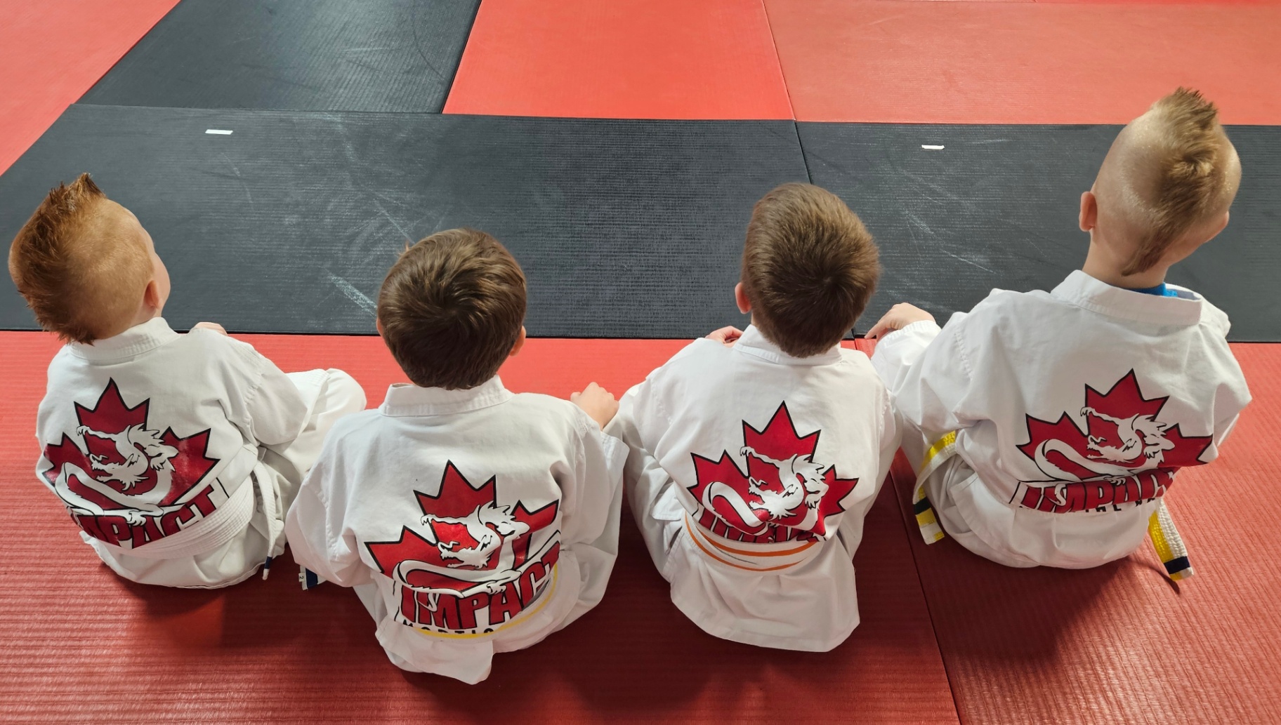Little Dragons and Impact Kids in training Little Dragons and Impact Kids in training